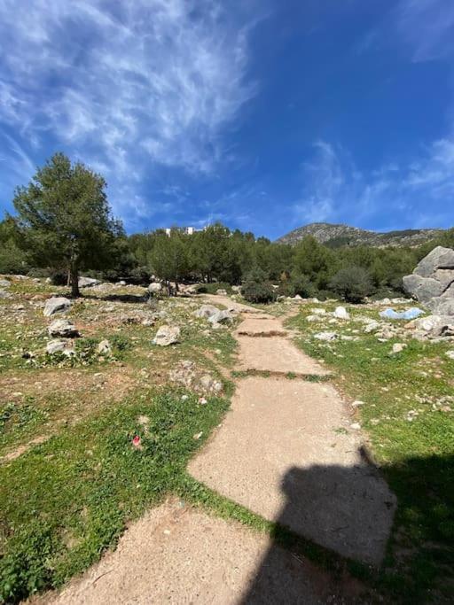 Casa Marron Διαμέρισμα Chefchaouen Εξωτερικό φωτογραφία